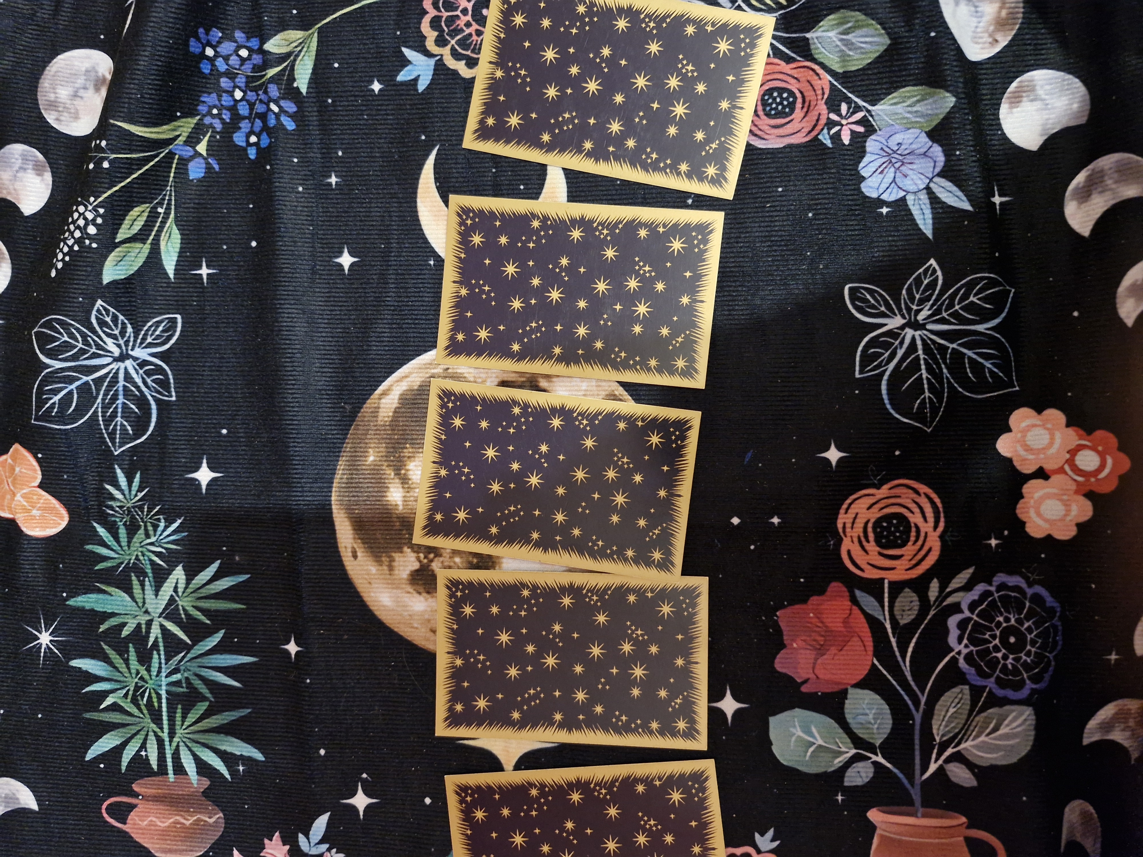 Visuel Les cartes des songes